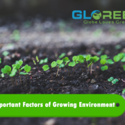 IMPORTANT FACTORS OF GROWING ENVIRONMENT 2 IMPORTANT FACTORS OF GROWING ENVIRONMENT