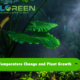 TEMPERATURE CHANGE AND PLANT GROWTH 1 cover