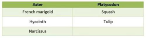 TEMPERATURE CHANGE AND PLANT GROWTH 8 plant2