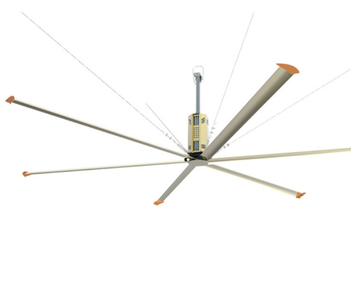 Super Large Ceiling Fan 1