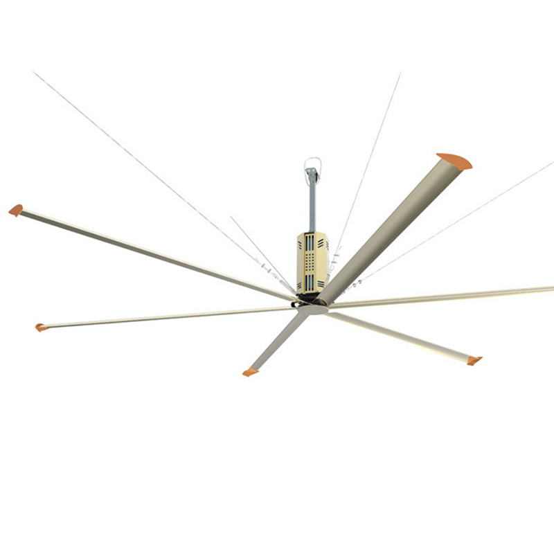 Super Large Ceiling Fan 1