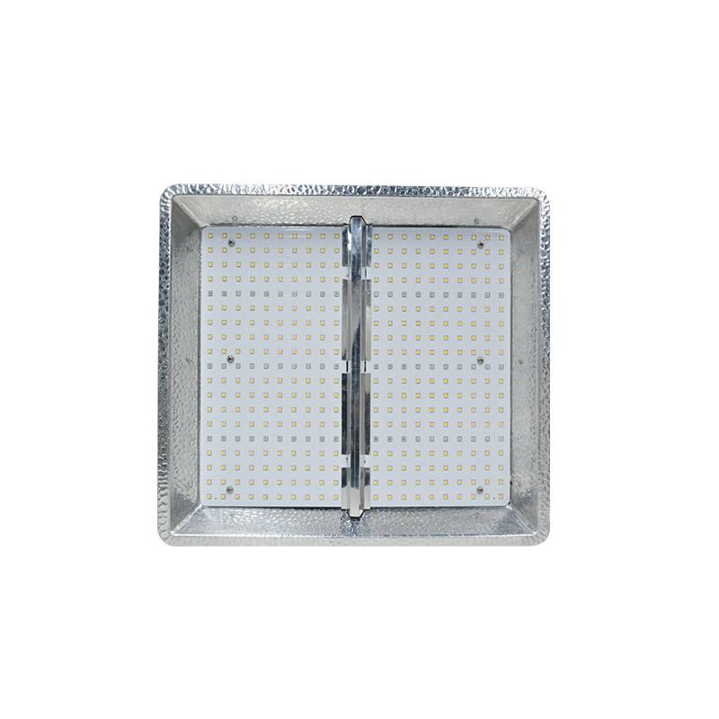 LED Grow Light 150W-front LED Grow Light 150W front 1